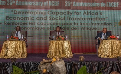 Capacity remains the missing link in achieving development goals in Africa