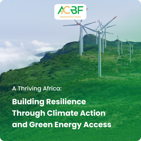 Building Resilience Through Climate Action and Green Energy Access
