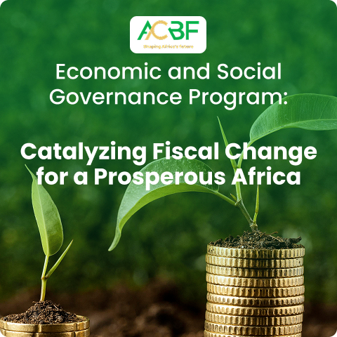 Catalyzing Fiscal Change for a Prosperous Africa